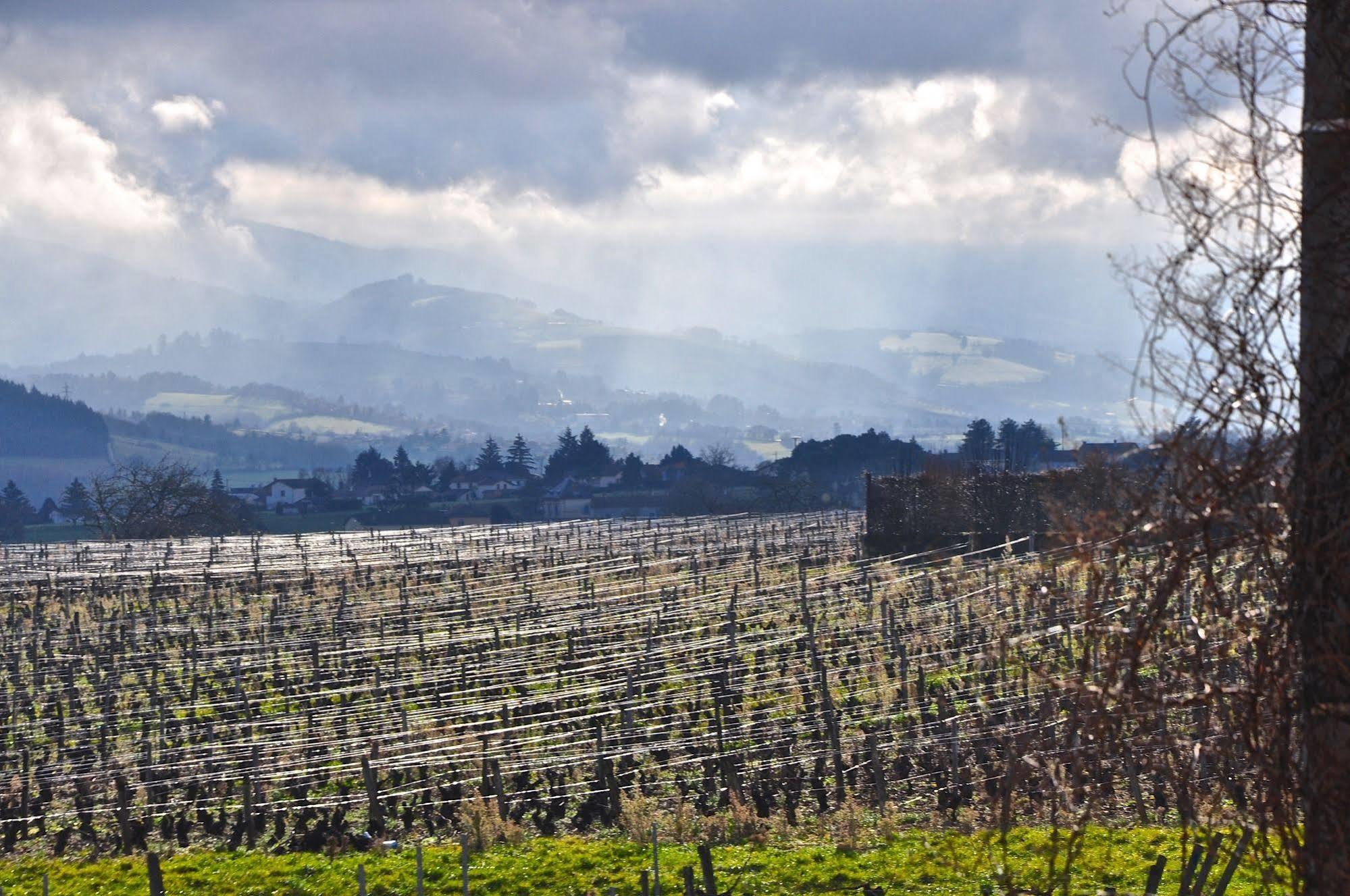 Le Clos Du Cher En Beaujolais Saint-Germain-Nuelles Exteriör bild