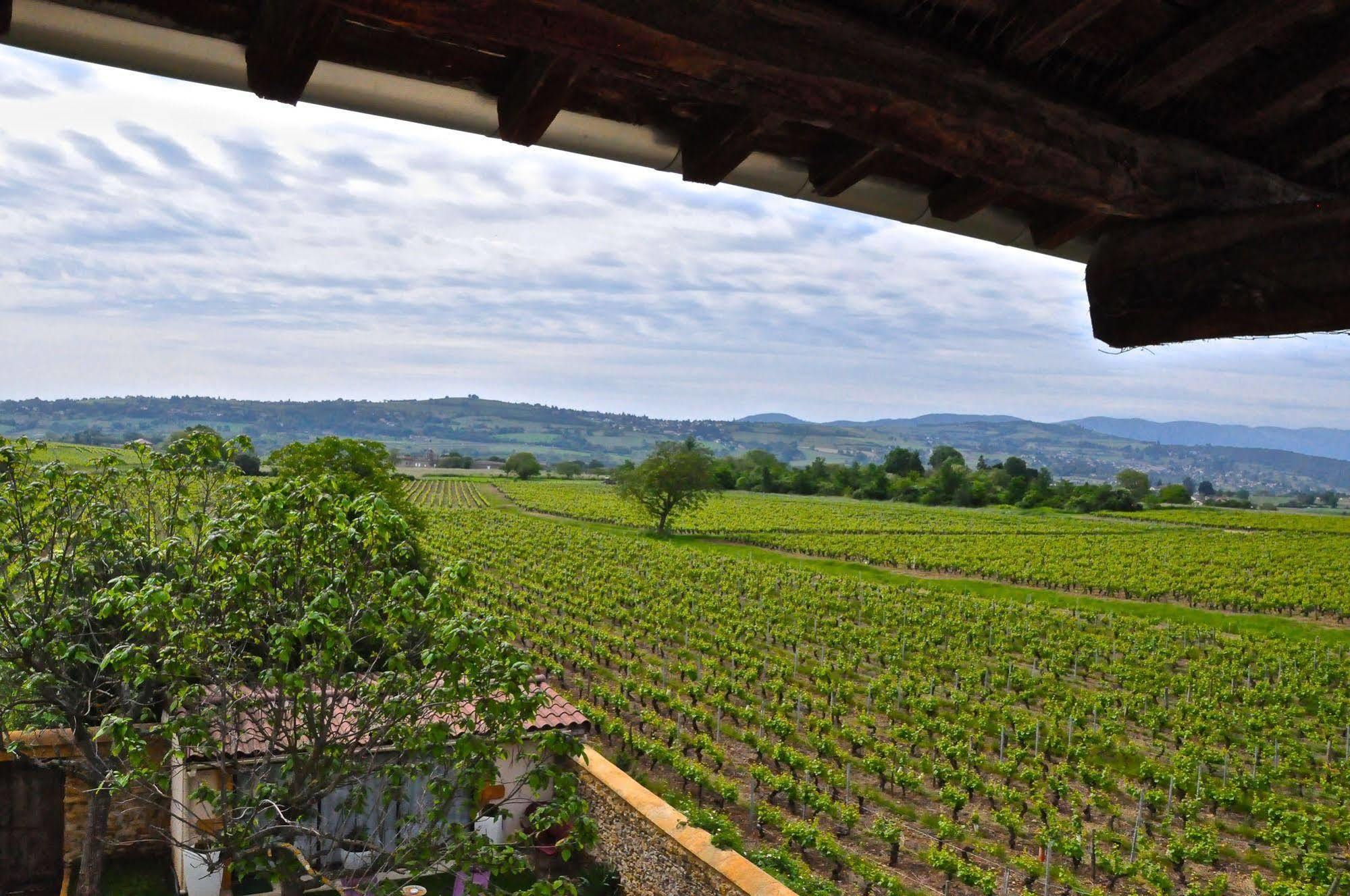 Le Clos Du Cher En Beaujolais Saint-Germain-Nuelles Exteriör bild