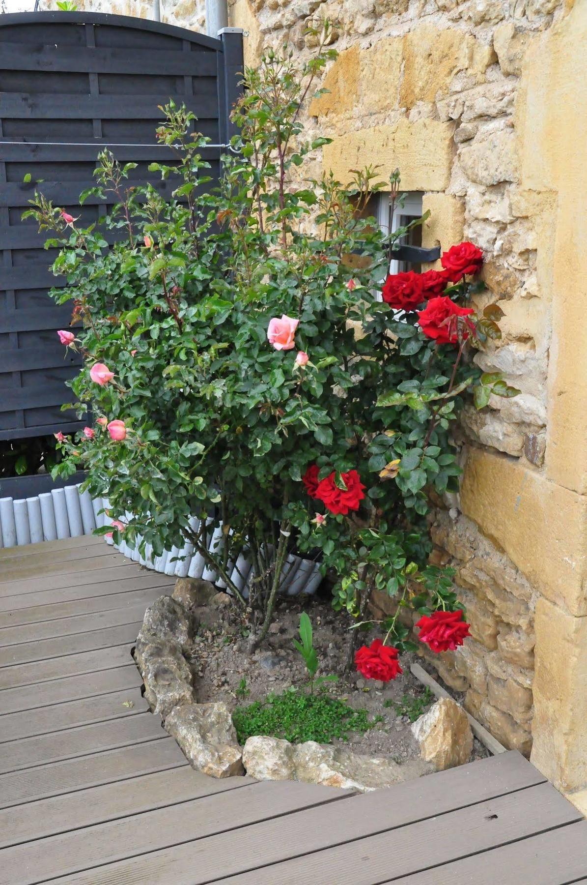 Le Clos Du Cher En Beaujolais Saint-Germain-Nuelles Exteriör bild