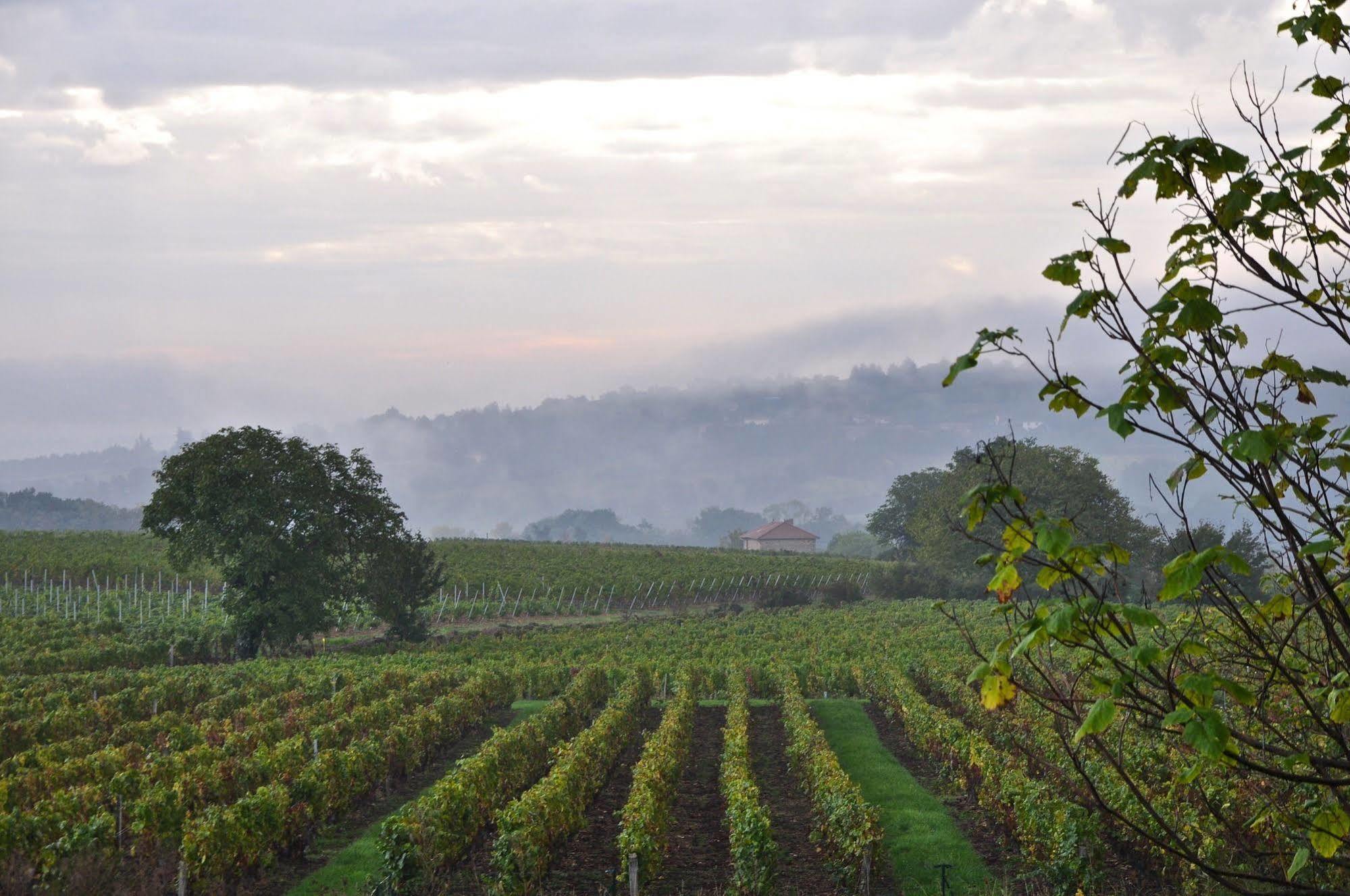 Le Clos Du Cher En Beaujolais Saint-Germain-Nuelles Exteriör bild