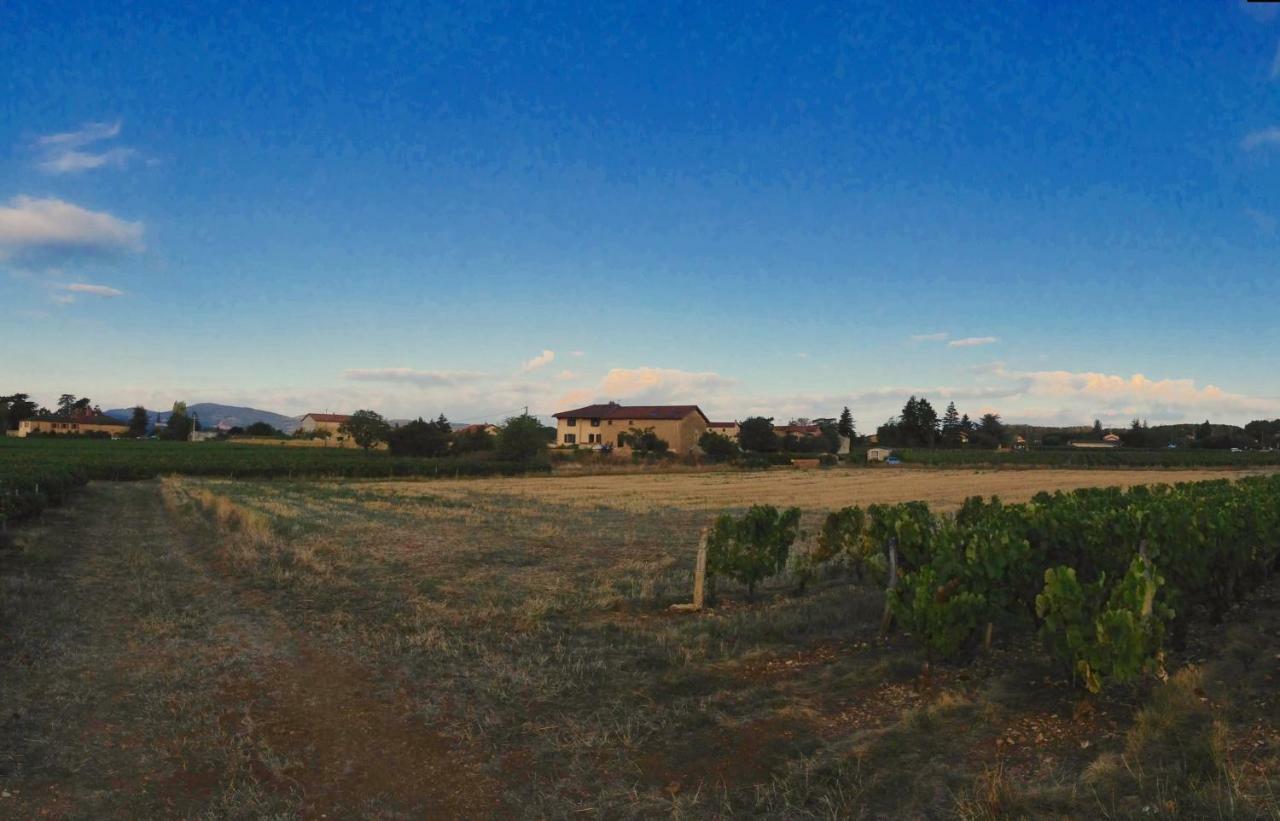 Le Clos Du Cher En Beaujolais Saint-Germain-Nuelles Exteriör bild