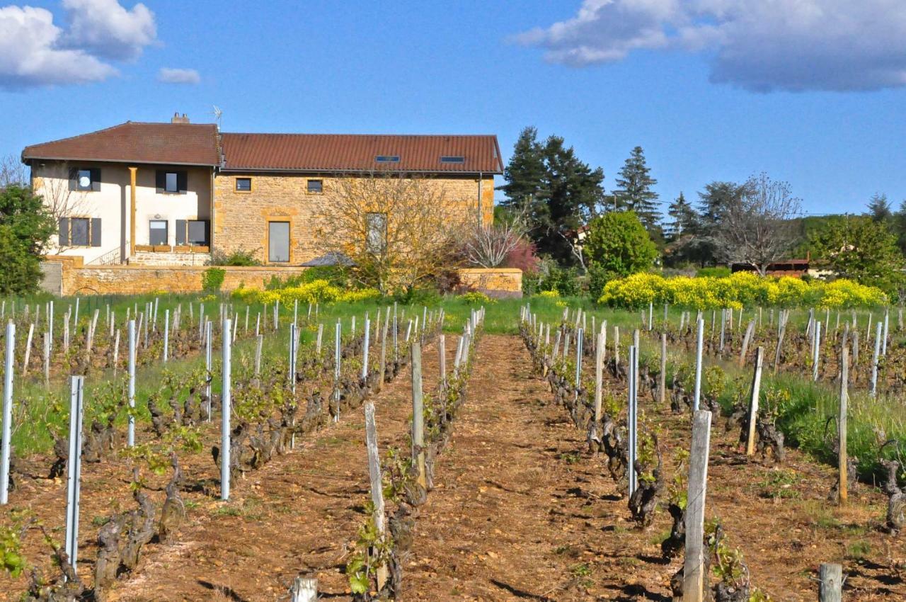 Le Clos Du Cher En Beaujolais Saint-Germain-Nuelles Exteriör bild